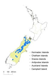 Veronica pulvinaris distribution map based on databased records at AK, CHR & WELT.
 Image: K.Boardman © Landcare Research 2022 CC-BY 4.0